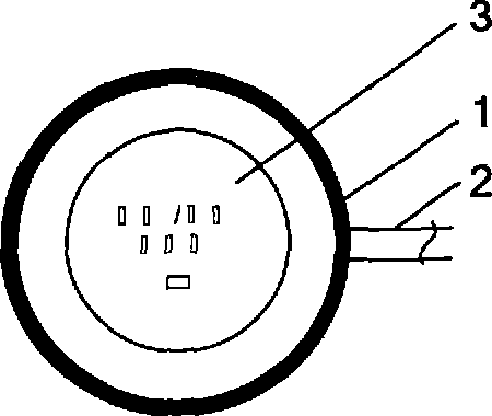 Vehicle intelligent lock, intelligent key and starting method