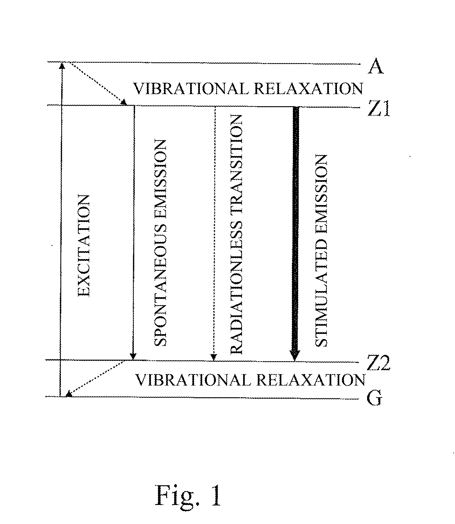 Special-illumination surgical stereomicroscope