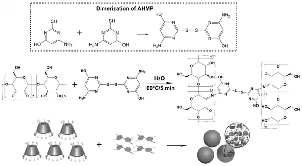 Rapid water-phase synthesis method of multifunctional cyclodextrin polymerized microspheres