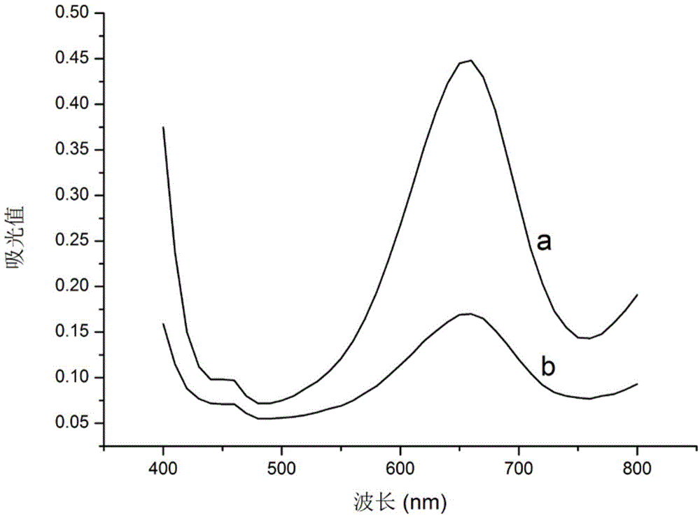 Detection kit and detection method of mercury ion