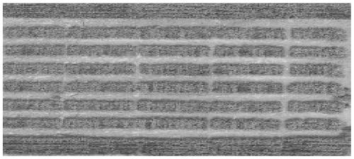 Resistance evaluation method for stripe rust of wheat and method for controlling stripe rust of wheat by utilizing variety diversity