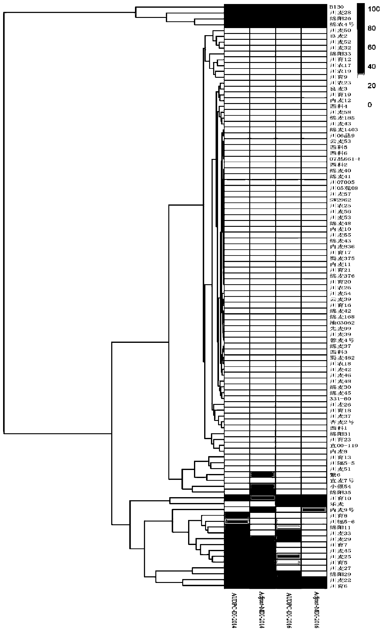 Resistance evaluation method for stripe rust of wheat and method for controlling stripe rust of wheat by utilizing variety diversity