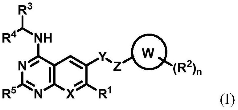 Substituted benzo or pyridopyrimidine amine inhibitor as well as preparation method and application thereof