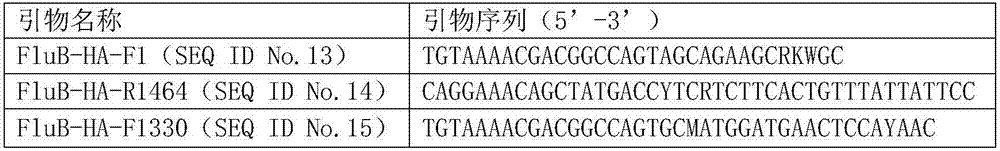 Whole genome sequencing method of influenza B virus