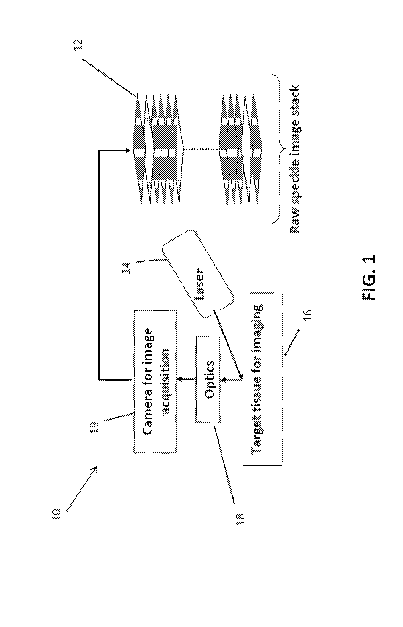 Anisotropic processing of laser speckle images