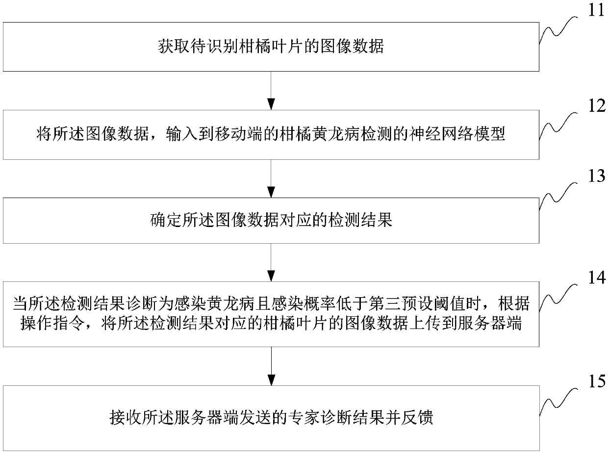 Deep learning-based Candidatus Liberibacter spp detection method, device and system