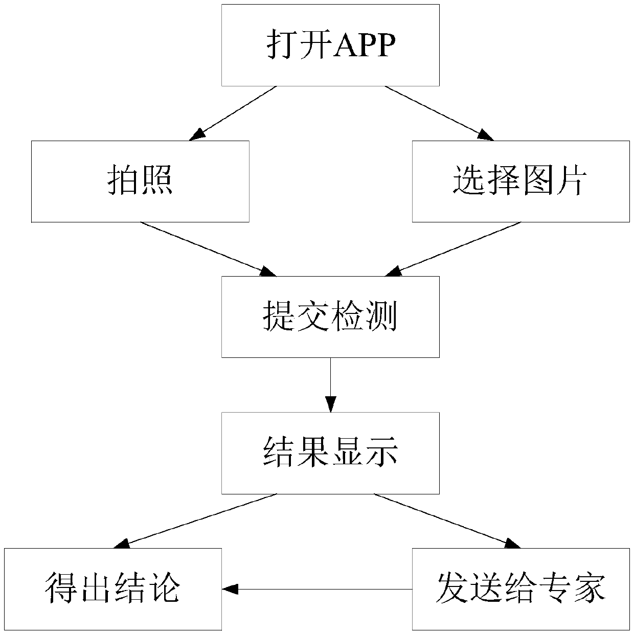 Deep learning-based Candidatus Liberibacter spp detection method, device and system