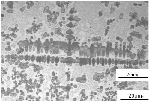 A high-strength, high-conductivity, heat-resistant cu-fe-y-mg alloy material with electromagnetic wave shielding performance and its preparation method