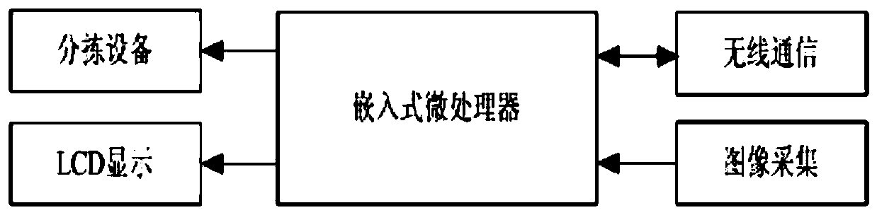 Cordyceps sinensis intelligent sorting system and using method thereof