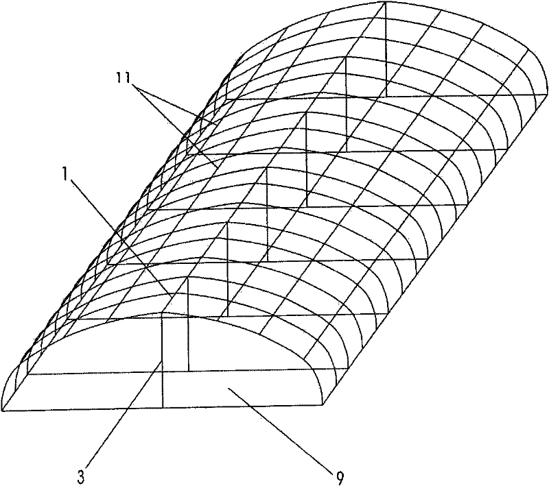 Novel multifunctional sunlight greenhouse