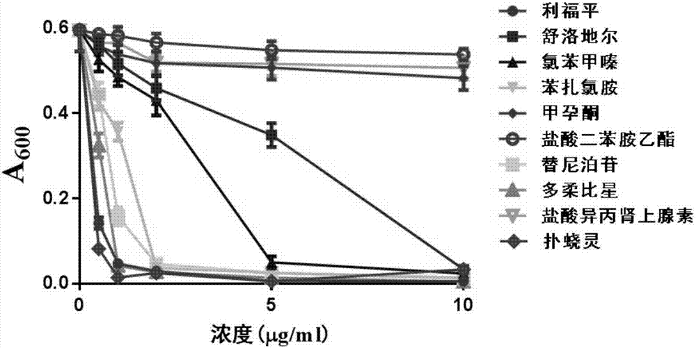 Novel use of pyrvinium pamoate in preparation of anti-mycobacterium tuberculosis drugs