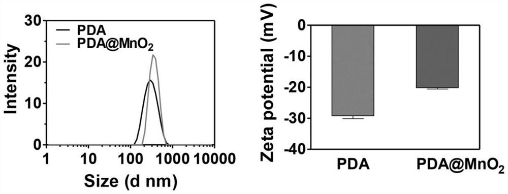 DNA/nano-composite as well as preparation method and application thereof