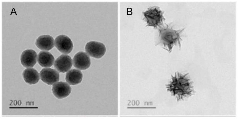 DNA/nano-composite as well as preparation method and application thereof