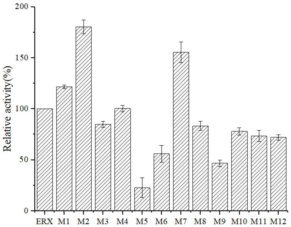 A kind of fusion xylanase mutant with high specific activity and its application