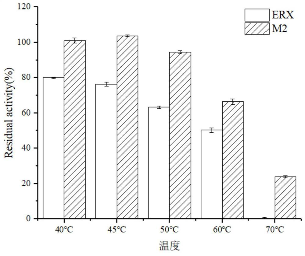 A kind of fusion xylanase mutant with high specific activity and its application