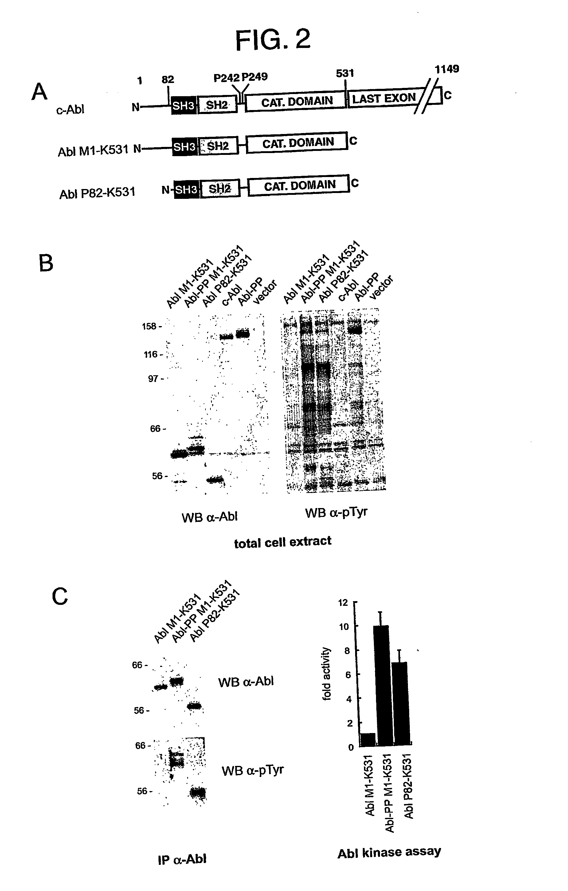 Tyrosine kinase inhibitors