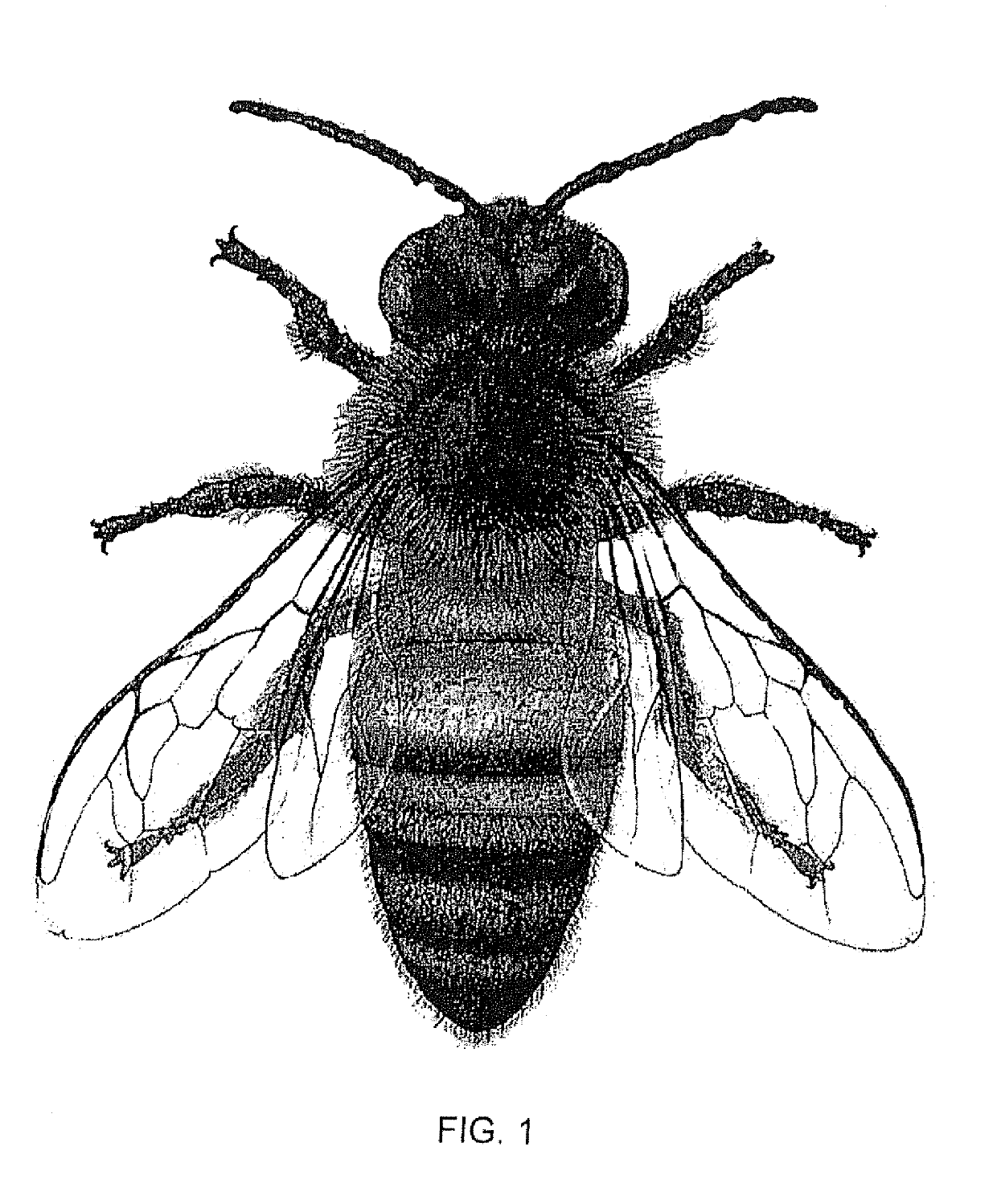 Method and System for Protecting Honey Bees, Bats and Butterflies From Neonicotinoid Pesticides