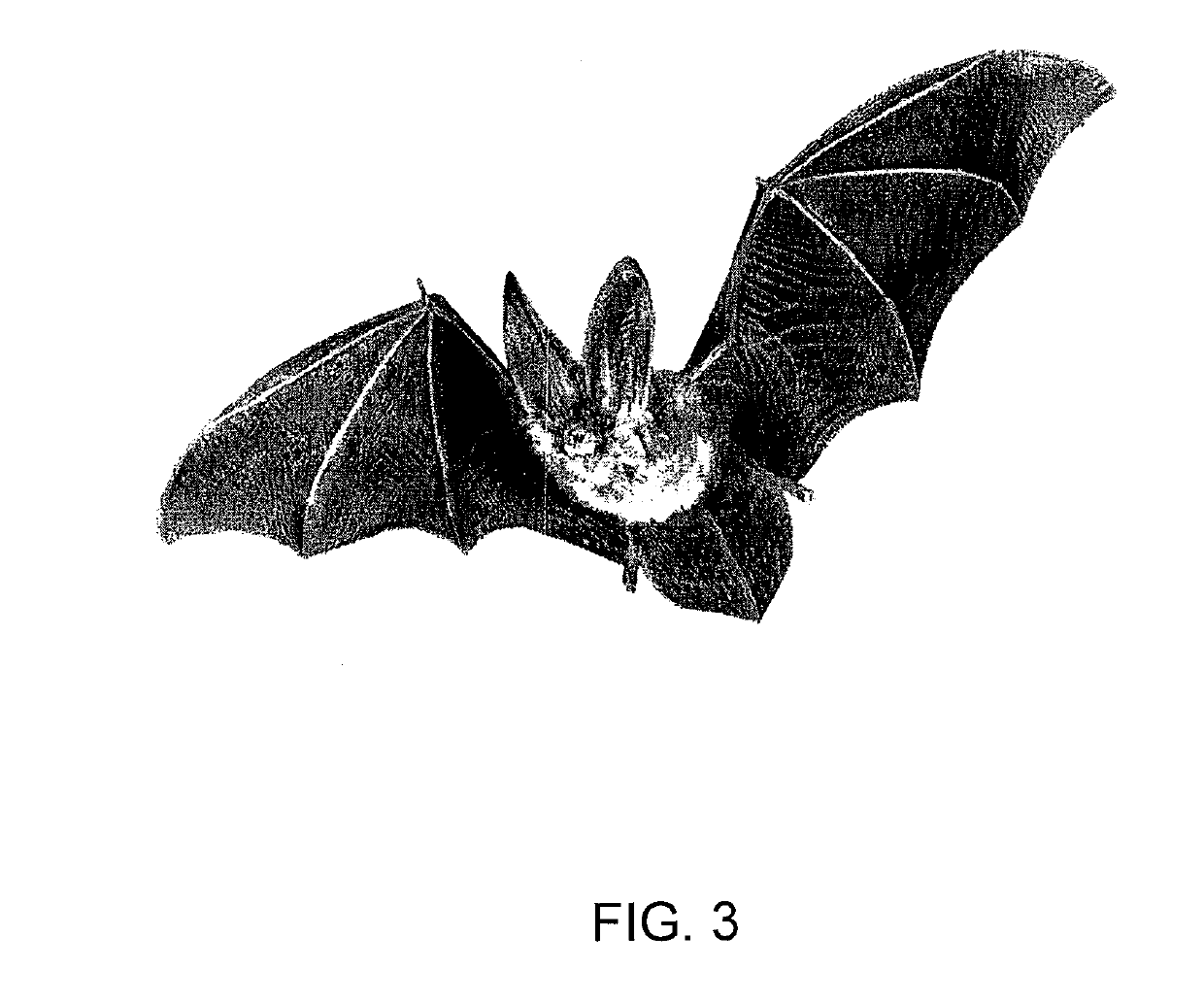 Method and System for Protecting Honey Bees, Bats and Butterflies From Neonicotinoid Pesticides