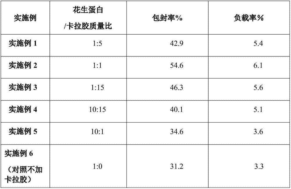 Ultrasonic preparation method of peanut protein/polysaccharide composite particle and functional food application