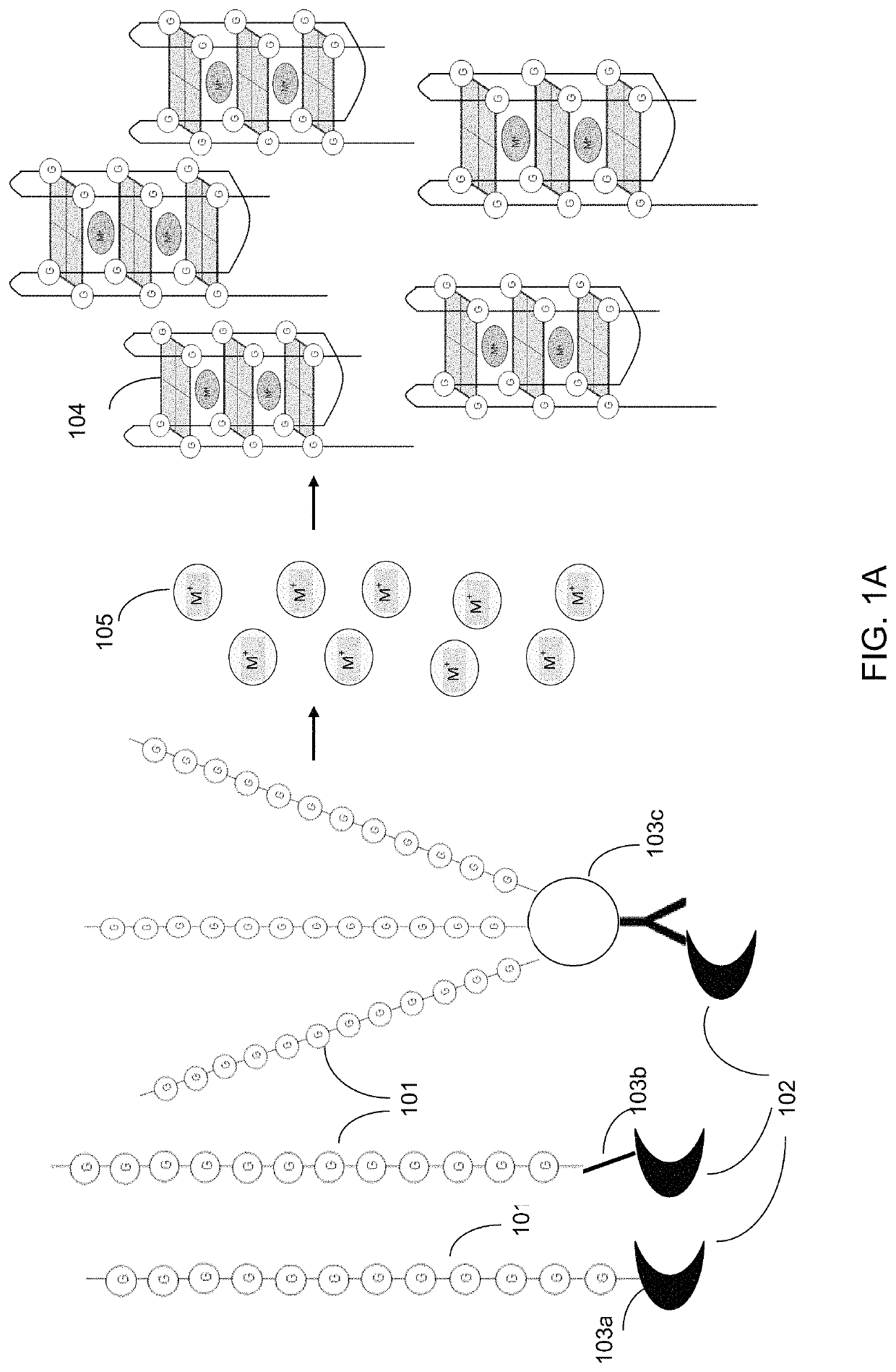 Ultra-sensitive bioanalyte quantification from self-assembled quadruplex tags