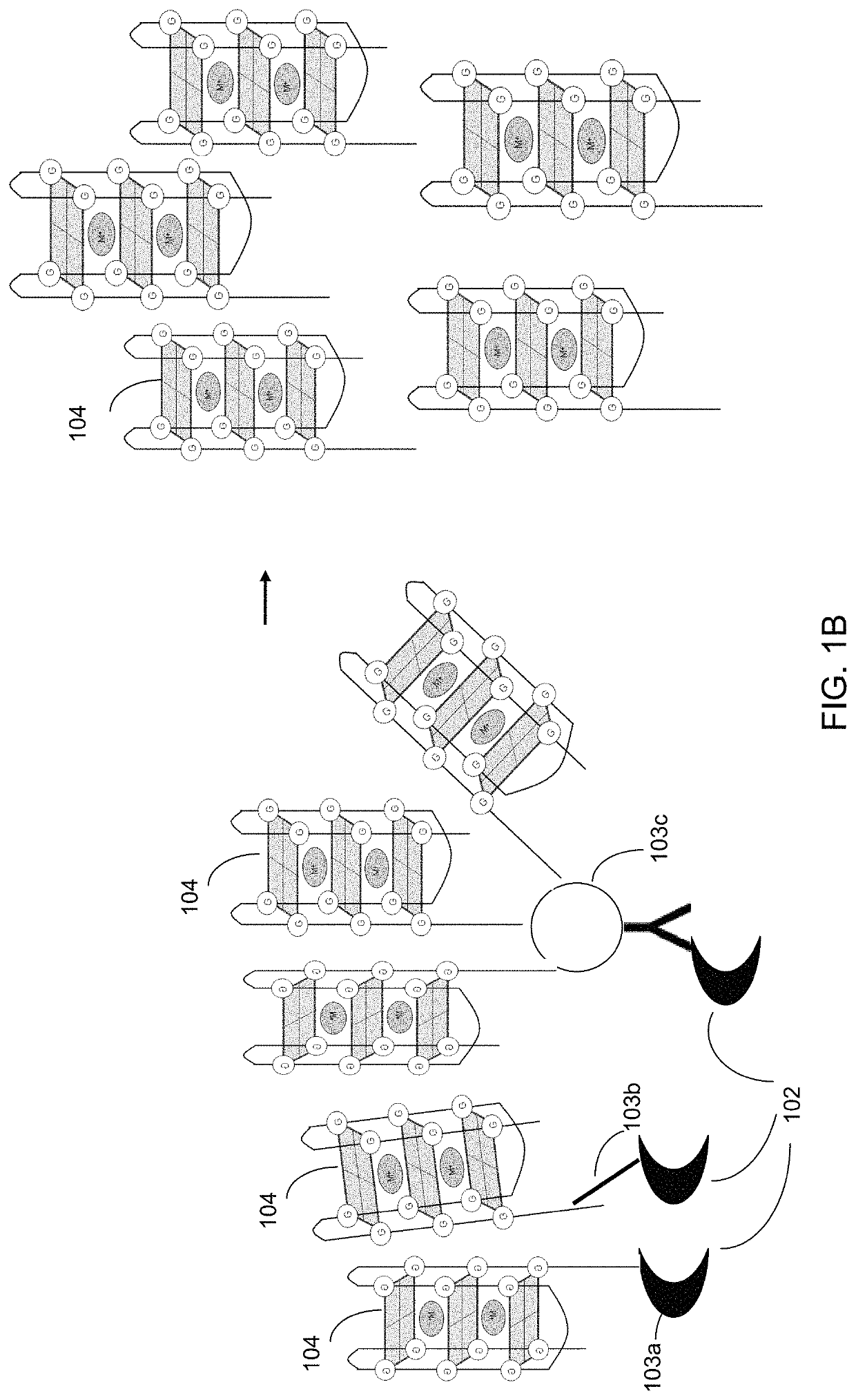 Ultra-sensitive bioanalyte quantification from self-assembled quadruplex tags