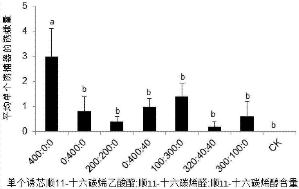 A kind of sex pheromone composition of camphor moth and its lure