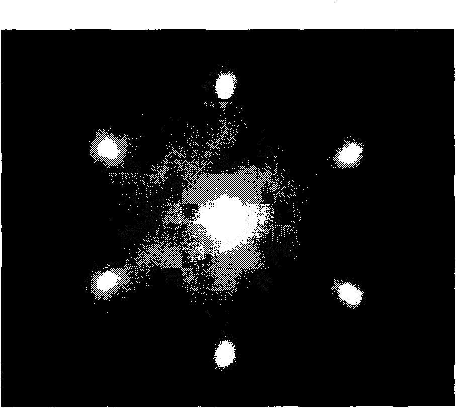 Device and method for real time observing colloid matter crystal internal defect