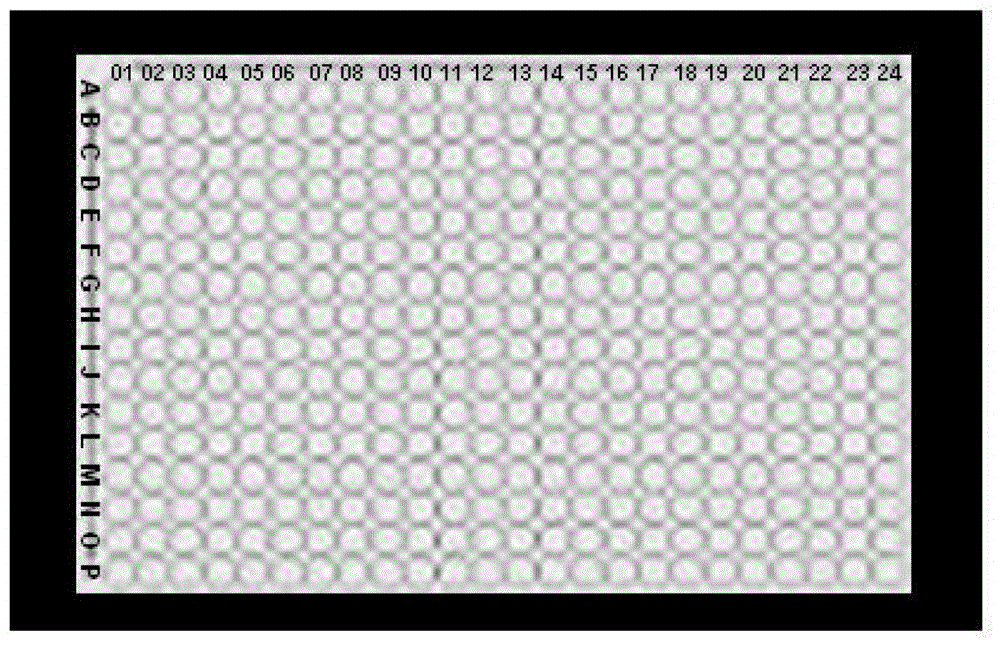 Coordinate sample injection box of 384-hole PCR plate for quantitative real-time polymerase chain reaction