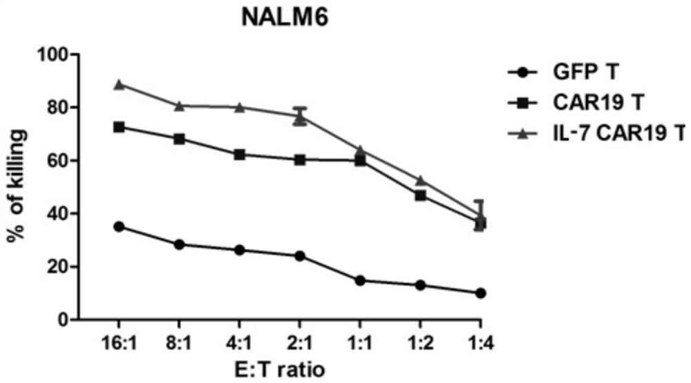 Chimeric antigen receptor secreting il-7, virus vector, expressing cell, preparation method and medicine