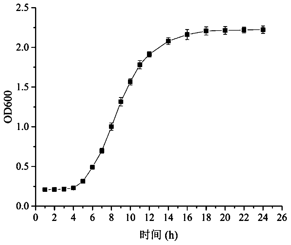 Leuconostoc lactis and applications thereof