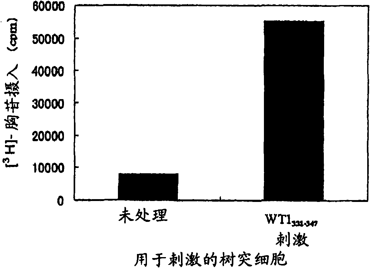 WT1-origin HLA-DR-binding antigen peptide