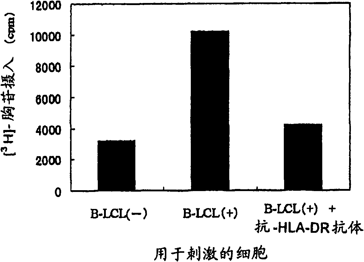 WT1-origin HLA-DR-binding antigen peptide