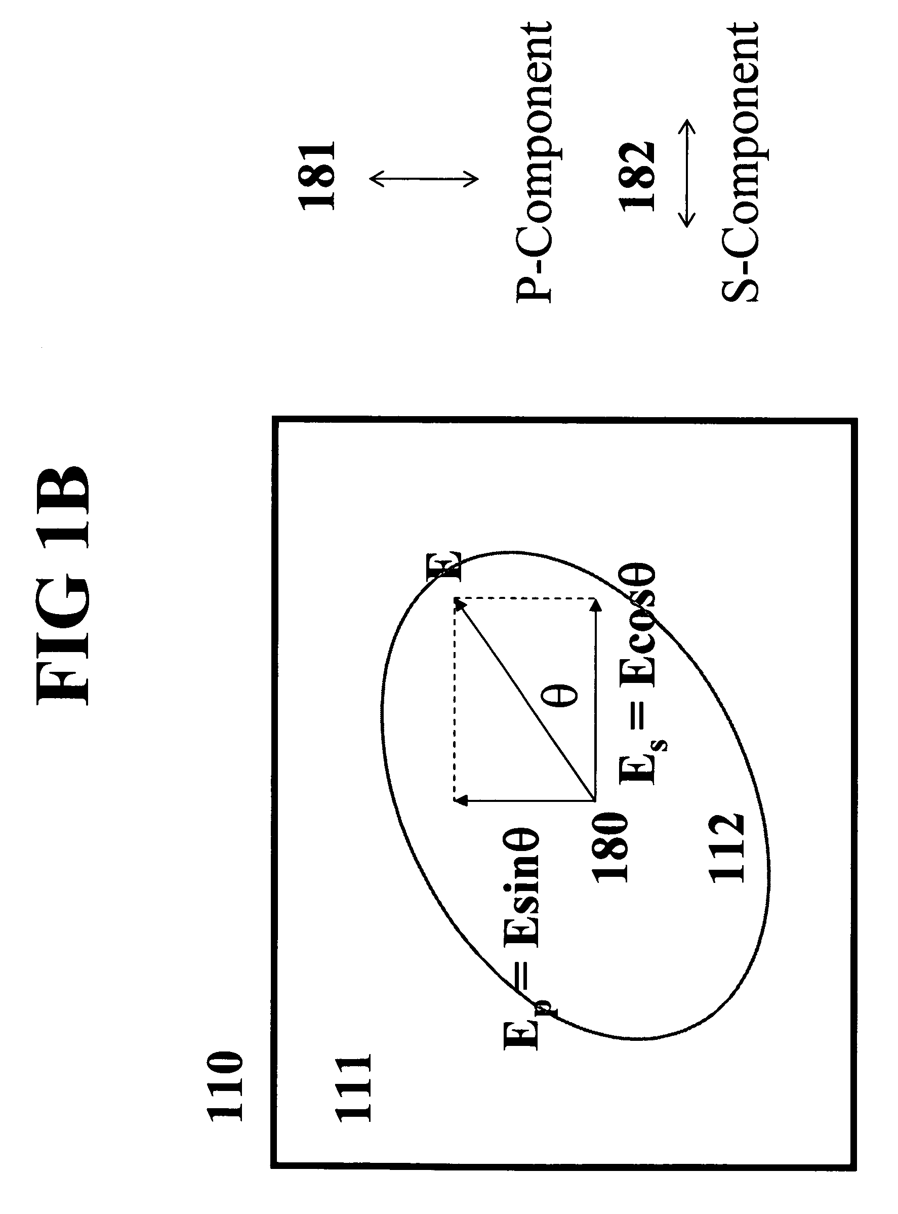 Method, apparatus and module using single laser diode for simultaneous pump of two gain media characteristic of polarization dependent absorption