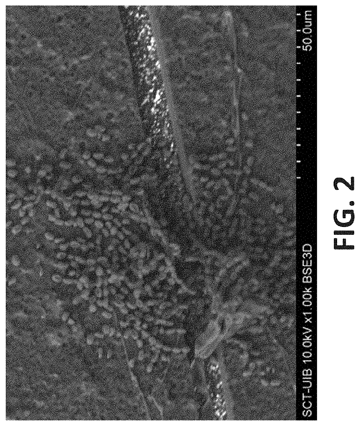 Prevention of urinary tract device encrustation