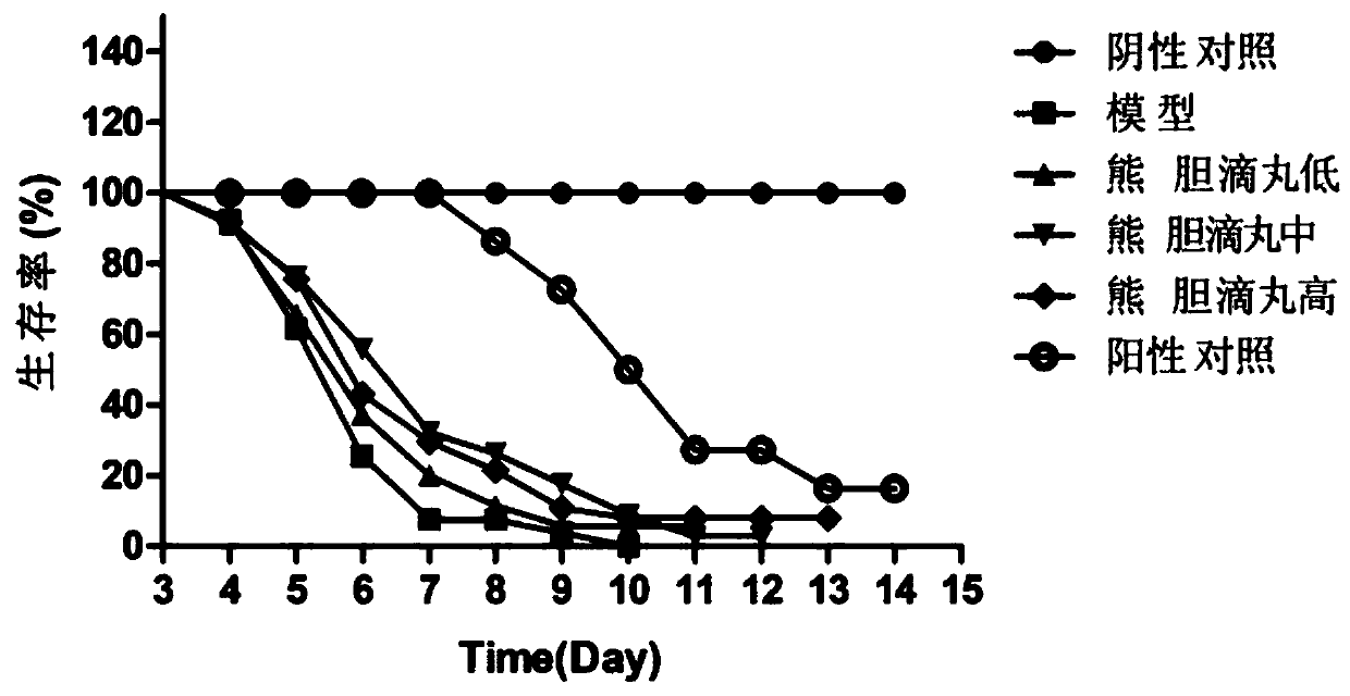 Application of bear gall dropping pills in preparation of antiviral drugs