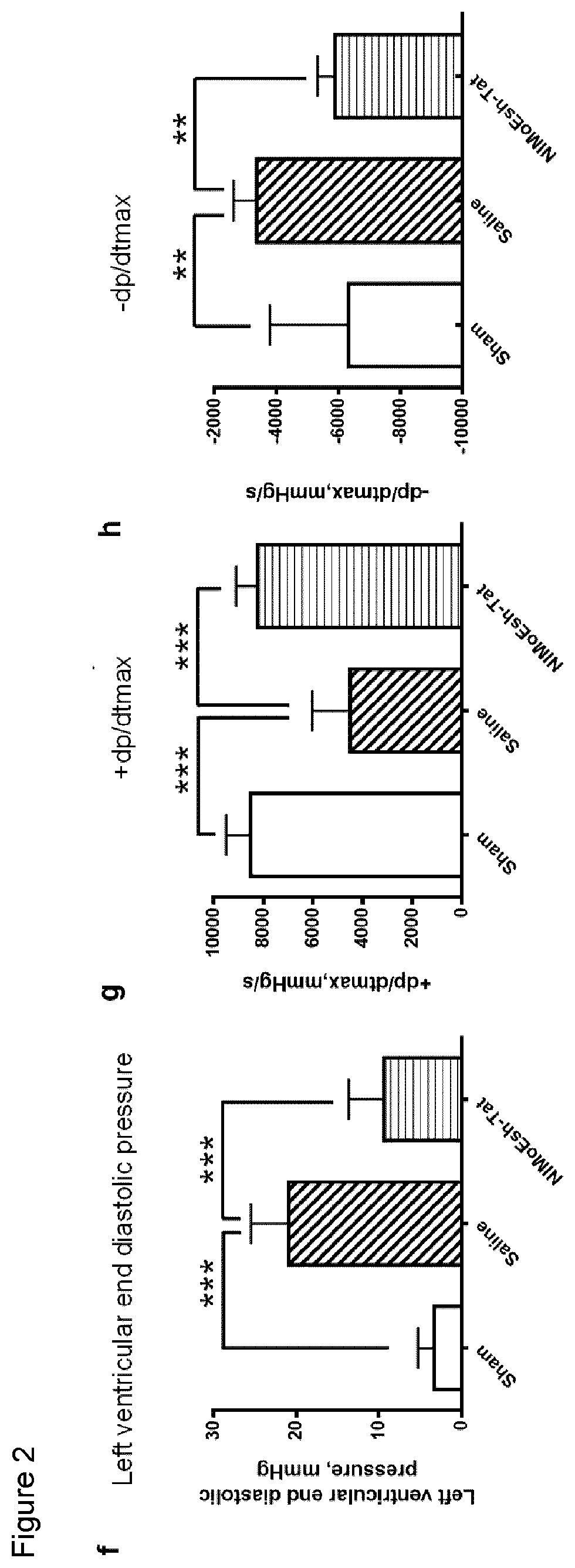 Inhibiting zd17-jnk interaction as a therapy for acute myocardial infarction