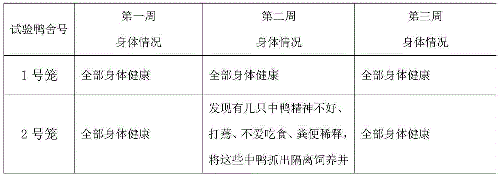 Liupu tea feed for breeding medium ducks and making method of Liupu tea feed