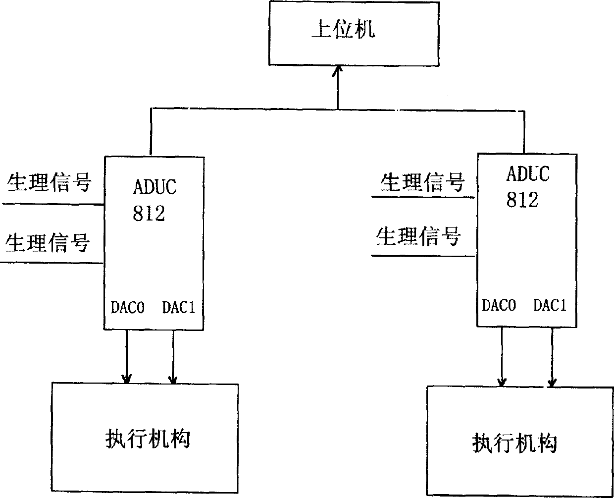 Multi-media multifunctional biological feedback device