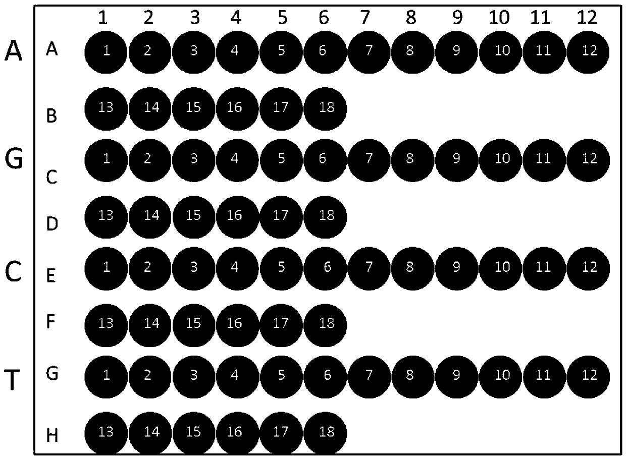 A method for activating erythropoietin gene expression