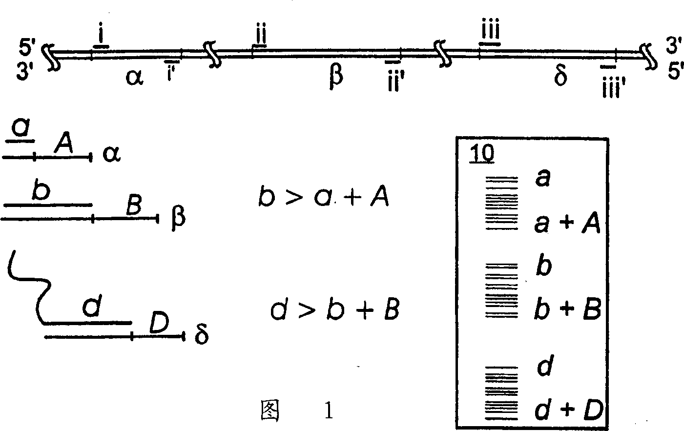 Multi-local genomic analysis by method of improved cycle sequencing