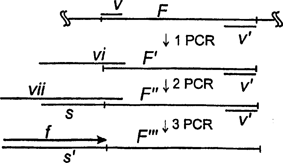 Multi-local genomic analysis by method of improved cycle sequencing