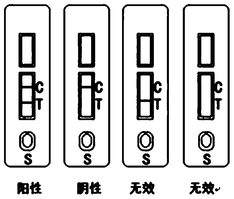 Preparation method of goat mycoplasma pneumonia immune colloidal gold labeled rapid diagnosis test paper