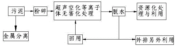 Ultrasonic cavitation-plasma sludge harmless treatment device and method