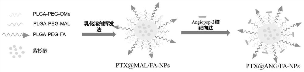 A dual-targeting polymer drug nanocarrier and its preparation method and application