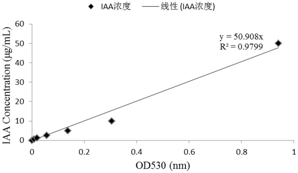 Bacillus velezensis and application thereof