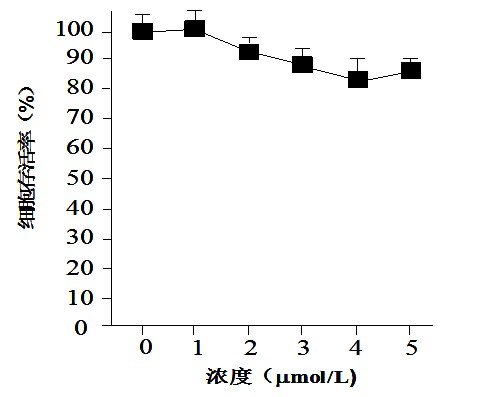 Application of tetracycline derivative in preparing sensitizing drug for radiotherapy