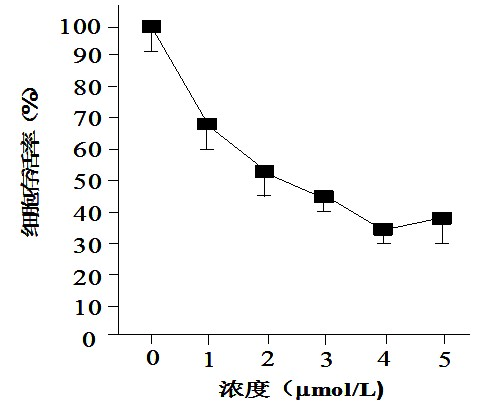 Application of tetracycline derivative in preparing sensitizing drug for radiotherapy