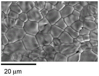 proton conducting membrane