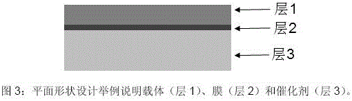 proton conducting membrane