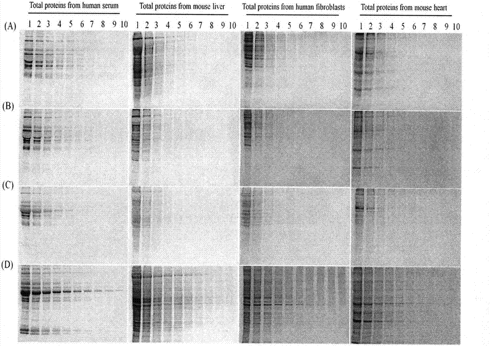 Synthesis of 1-pyrenyl-carbohydrazide and application of 1-pyrenyl-carbohydrazide in specific detection of glycoprotein